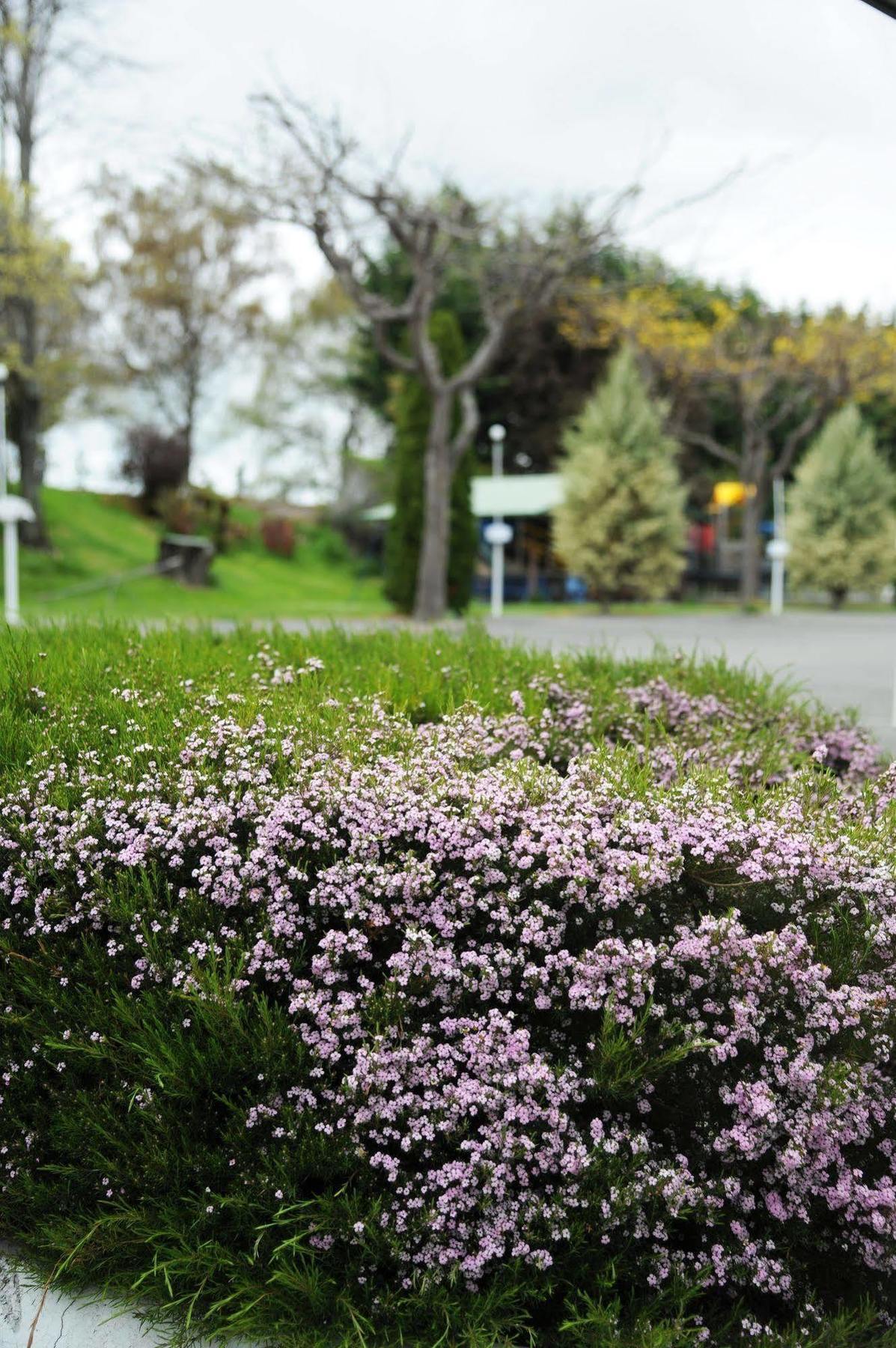 Blenheim Bridges Holiday Park ภายนอก รูปภาพ