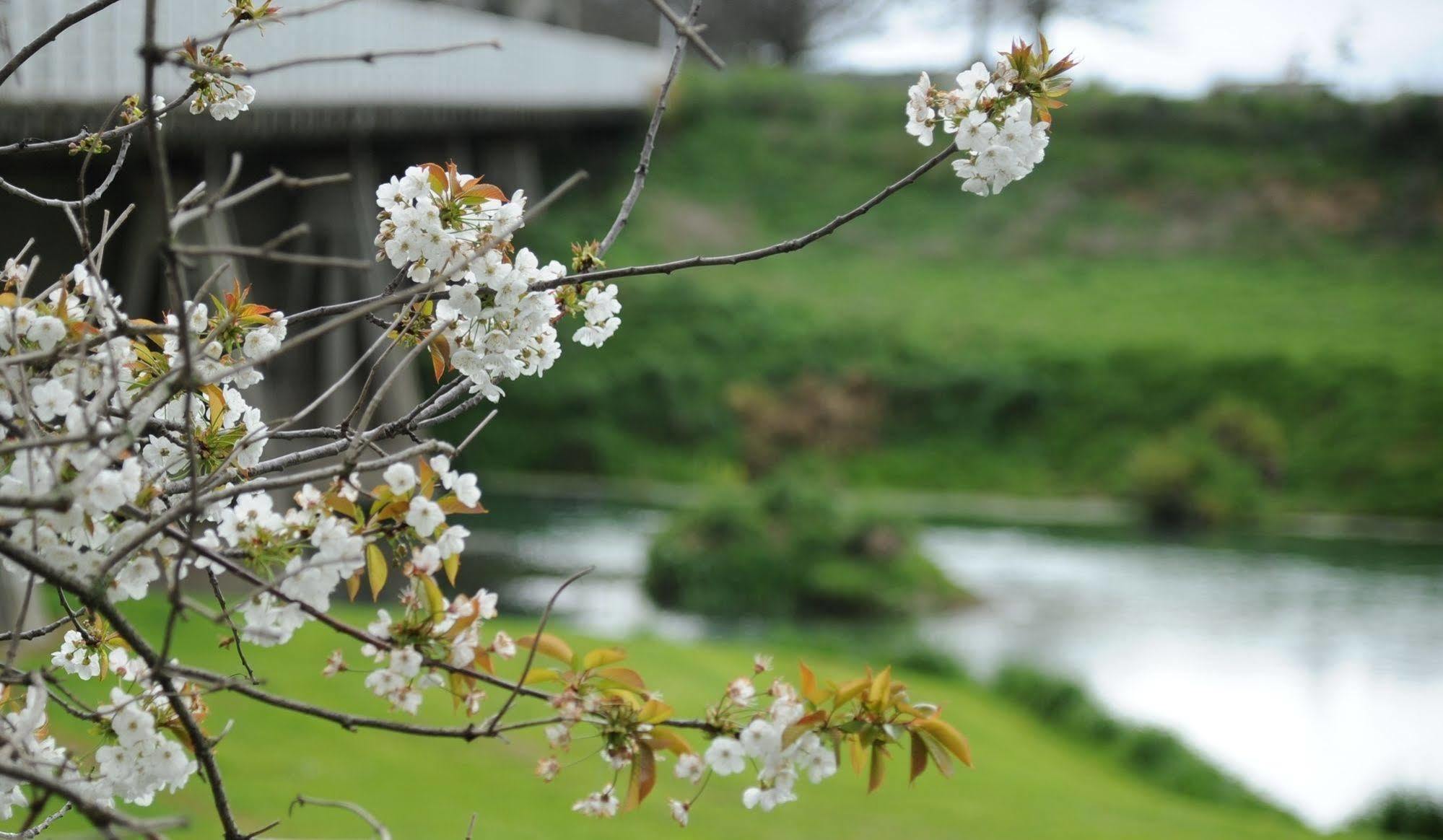 Blenheim Bridges Holiday Park ภายนอก รูปภาพ